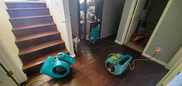Best Ceiling water damage repair  in Mount Sinai, NY