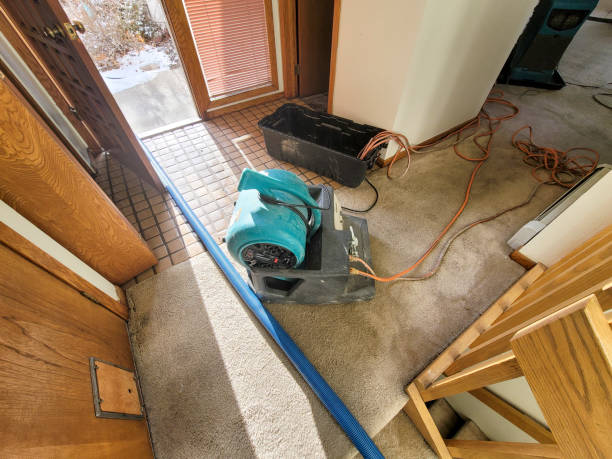 Best Local water damage restoration  in Mount Sinai, NY