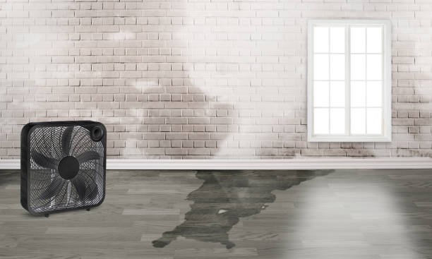 Mount Sinai, NY Water damage restoration Pros