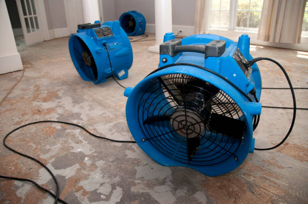 Best Water damage restoration near me  in Mount Sinai, NY